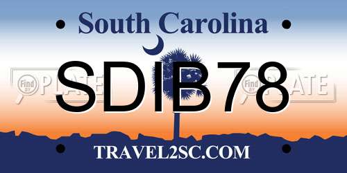 SDIB78 South Carolina License Plate
