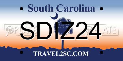 SDIZ24 South Carolina License Plate