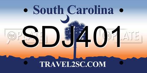 SDJ401 South Carolina License Plate