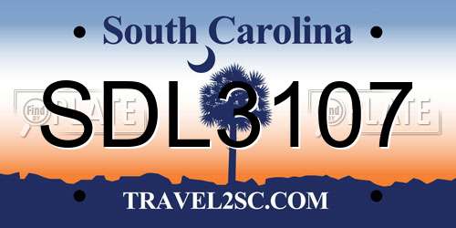 SDL3107 South Carolina License Plate