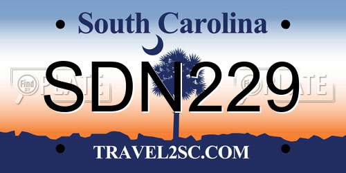 SDN229 South Carolina License Plate