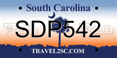SDP542 South Carolina License Plate