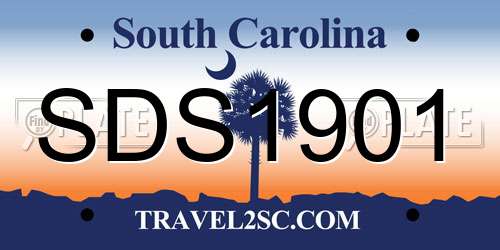 SDS1901 South Carolina License Plate