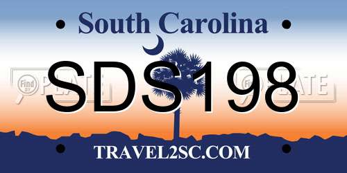 SDS198 South Carolina License Plate