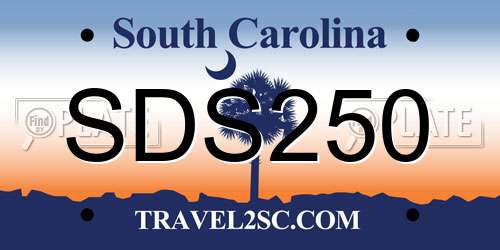 SDS250 South Carolina License Plate