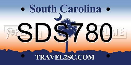 SDS780 South Carolina License Plate