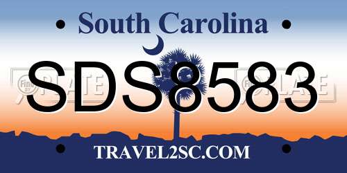 SDS8583 South Carolina License Plate