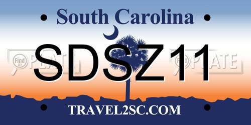 SDSZ11 South Carolina License Plate