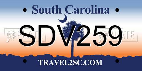 SDV259 South Carolina License Plate