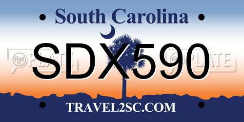 SDX590 South Carolina License Plate