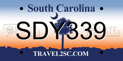 SDY339 South Carolina License Plate