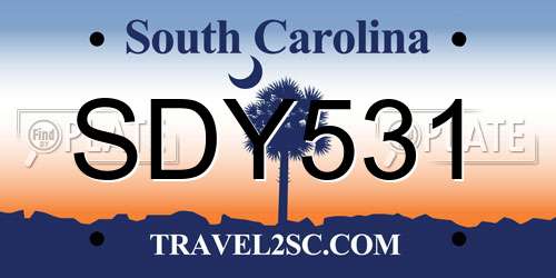 SDY531 South Carolina License Plate