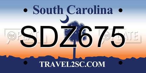 SDZ675 South Carolina License Plate