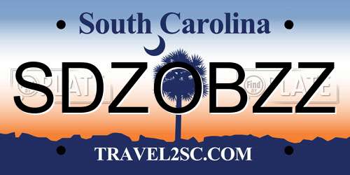 SDZOBZZ South Carolina License Plate