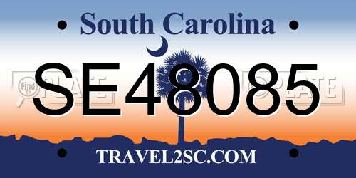SE48085 South Carolina License Plate