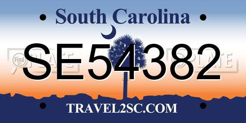 SE54382 South Carolina License Plate