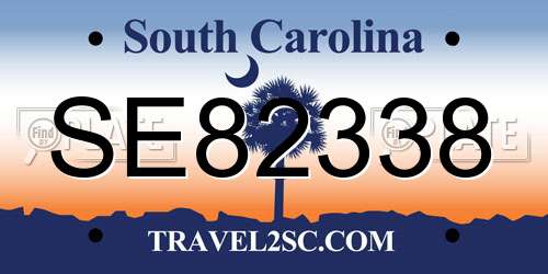 SE82338 South Carolina License Plate