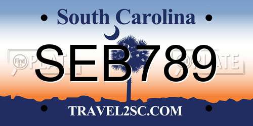 SEB789 South Carolina License Plate