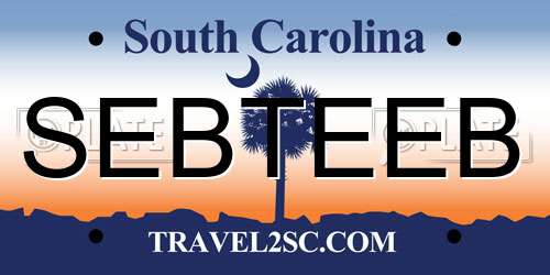 SEBTEEB South Carolina License Plate