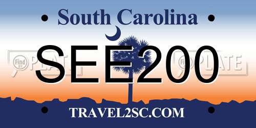 SEE200 South Carolina License Plate