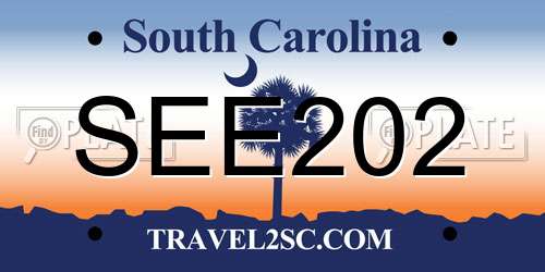 SEE202 South Carolina License Plate