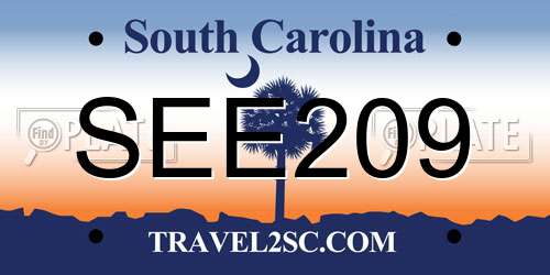 SEE209 South Carolina License Plate