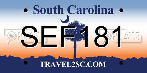 SEF181 South Carolina License Plate