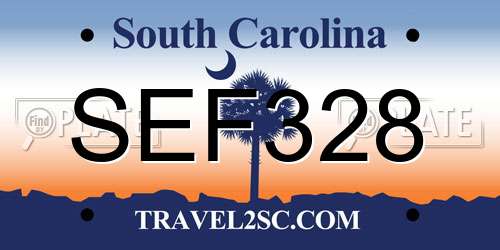SEF328 South Carolina License Plate