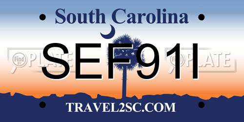 SEF91I South Carolina License Plate