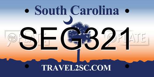 SEG321 South Carolina License Plate