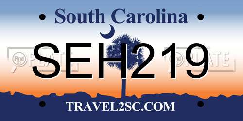 SEH219 South Carolina License Plate