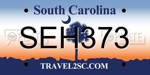 SEH373 South Carolina License Plate