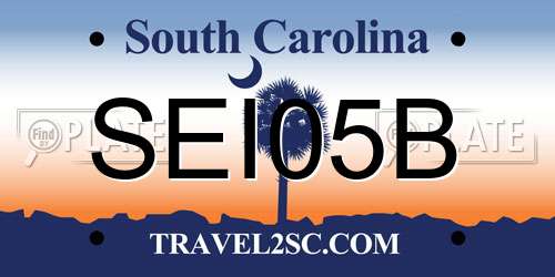 SEI05B South Carolina License Plate