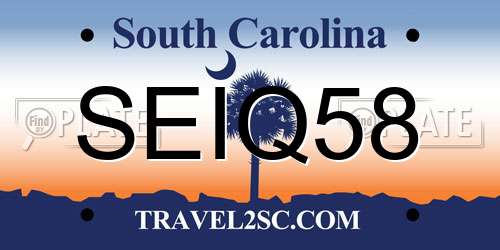 SEIQ58 South Carolina License Plate