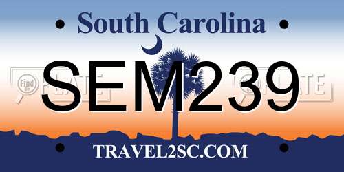 SEM239 South Carolina License Plate