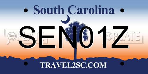 SEN01Z South Carolina License Plate
