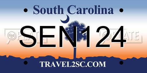 SEN124 South Carolina License Plate