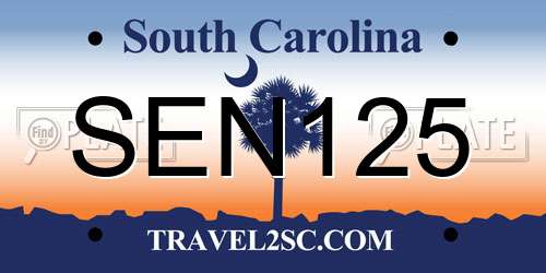 SEN125 South Carolina License Plate