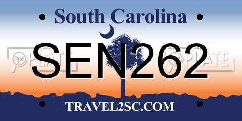 SEN262 South Carolina License Plate