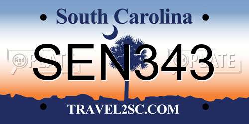 SEN343 South Carolina License Plate