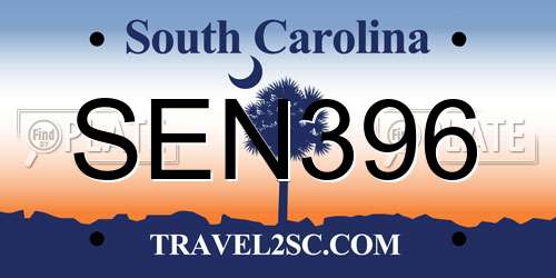 SEN396 South Carolina License Plate