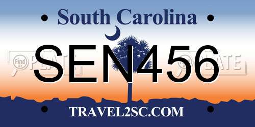SEN456 South Carolina License Plate