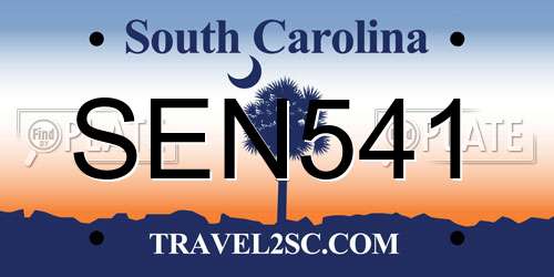 SEN541 South Carolina License Plate