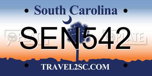 SEN542 South Carolina License Plate