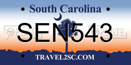 SEN543 South Carolina License Plate