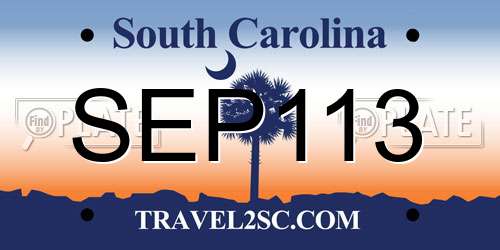 SEP113 South Carolina License Plate