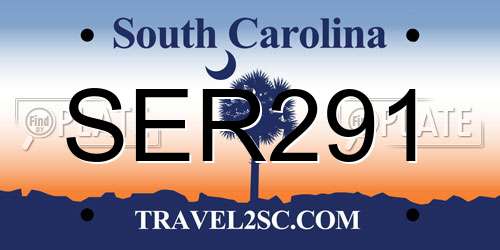 SER291 South Carolina License Plate