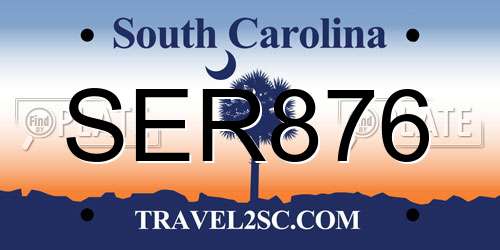 SER876 South Carolina License Plate