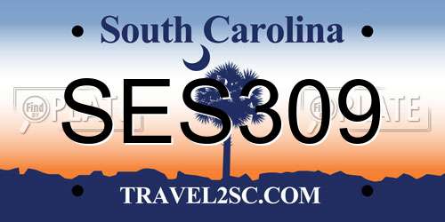 SES309 South Carolina License Plate