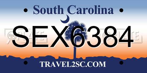 SEX6384 South Carolina License Plate